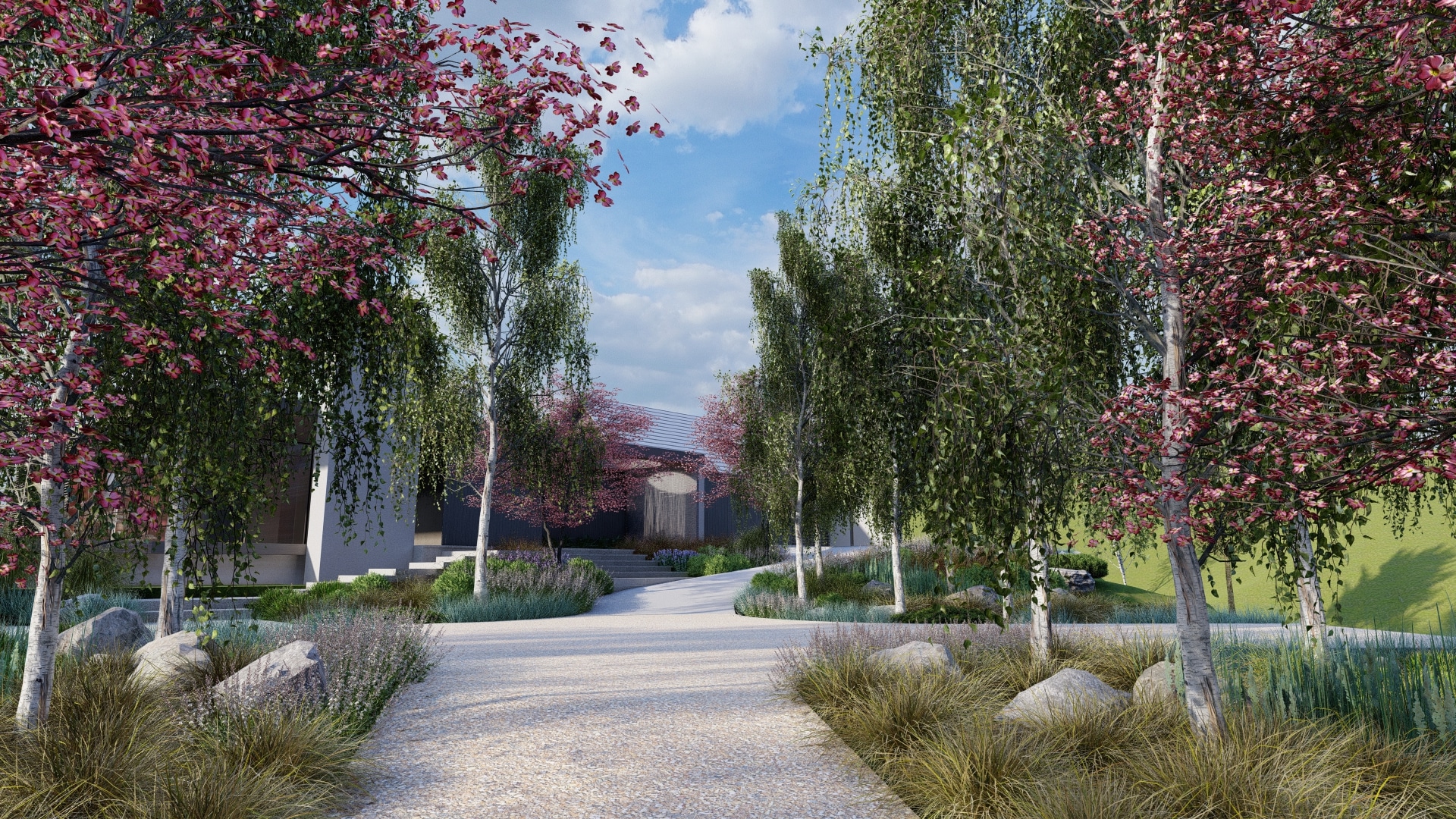 A picturesque view of a long, winding driveway leading to a modern home, showcasing elegant landscape design, but with no pool visible. The driveway is bordered by a variety of trees, including mature birches and trees with vibrant pink blossoms, and lush undergrowth featuring ornamental grasses and flowering plants. Large rocks are strategically placed along the edges, enhancing the natural aesthetic. The sky is bright with scattered clouds, suggesting an inviting outdoor environment.